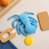 blue Spider
