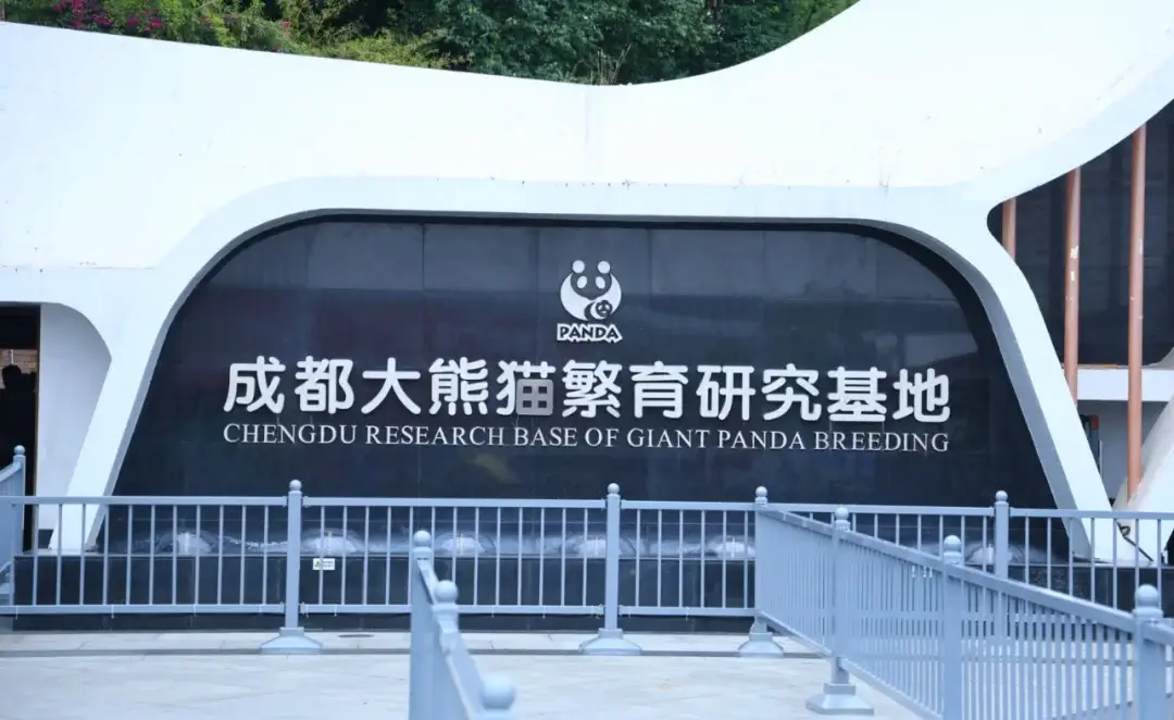 Discover the Sichuan Giant Panda Base 1 Main Entrance of Chengdu Research Base of Giant Panda Breeding