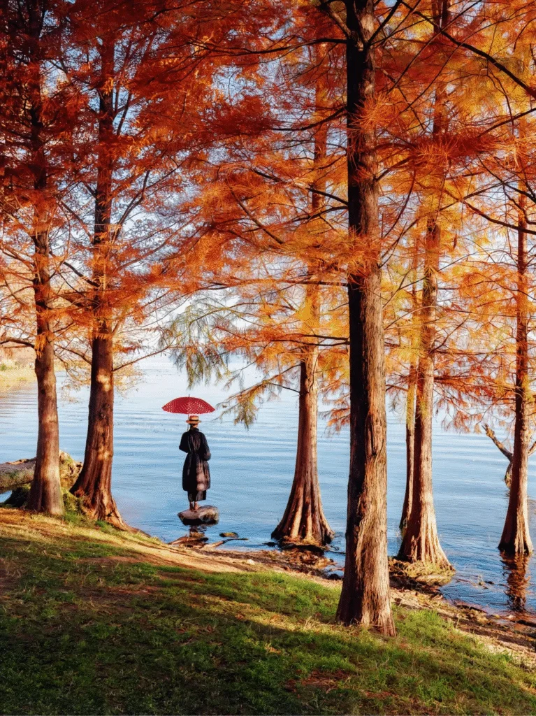 How to Plan Your Erhai Lake Trip in 2025 7 Chongyi Village