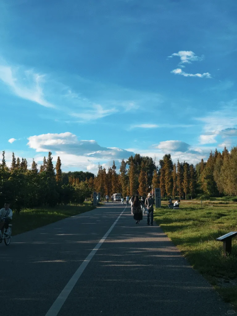 How to Plan Your Erhai Lake Trip in 2025 10 blog8 28